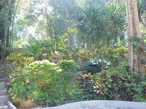 garden
